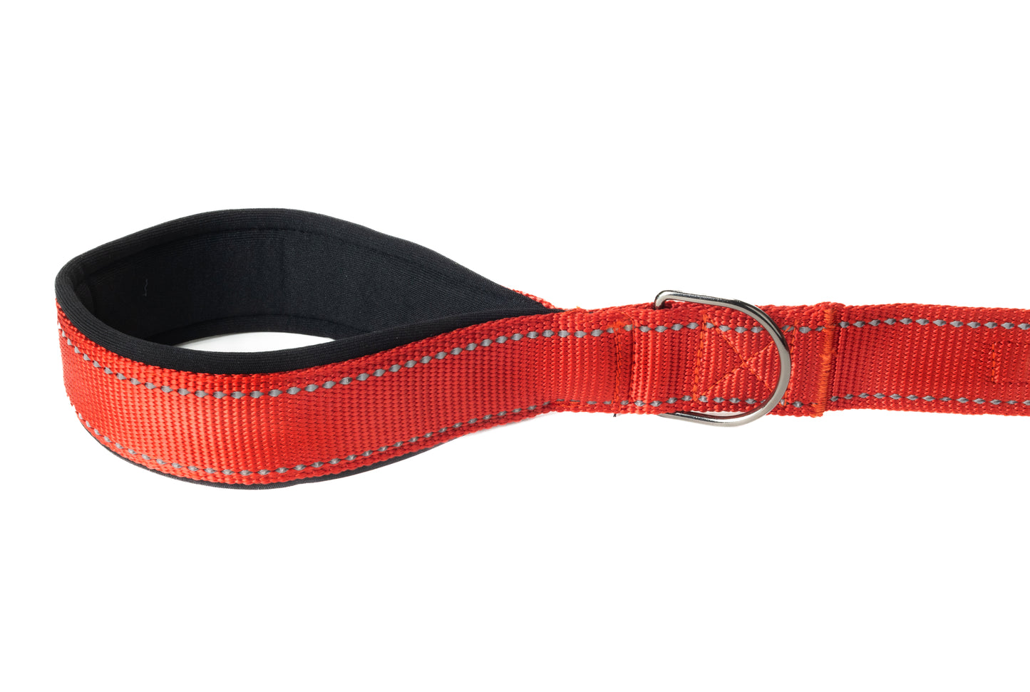 Red Flat Nylon Dog Leash