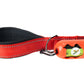 Red Flat Nylon Dog Leash