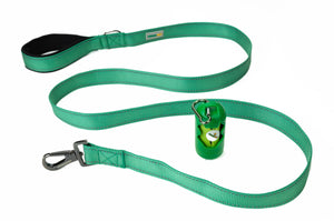 Poly Green Flat Nylon Dog Leash
