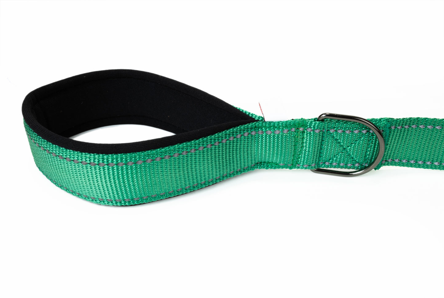 Poly Green Flat Nylon Dog  Leash