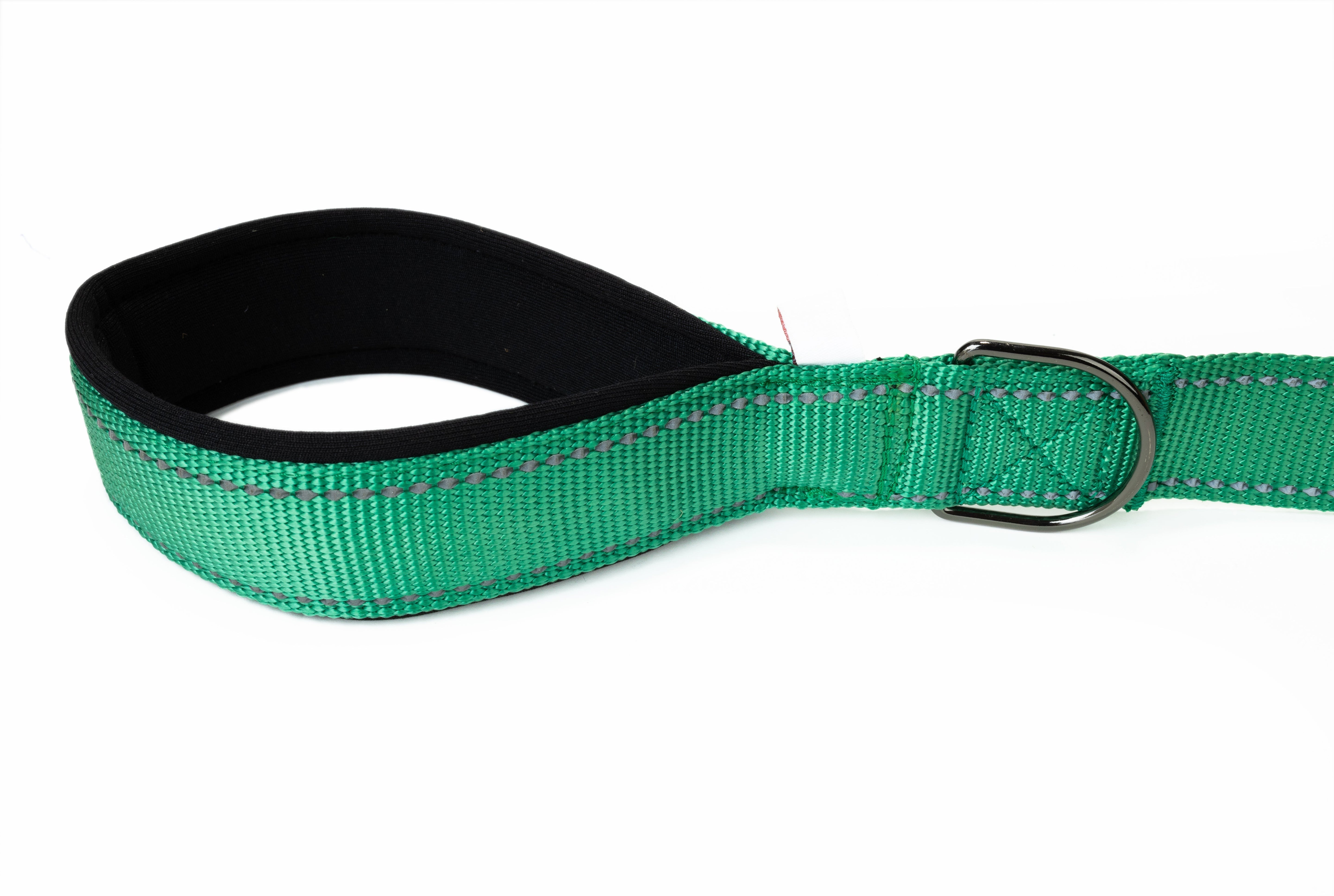 Poly Green Flat Nylon Dog Leash