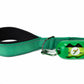 Poly Green Flat Nylon Dog  Leash