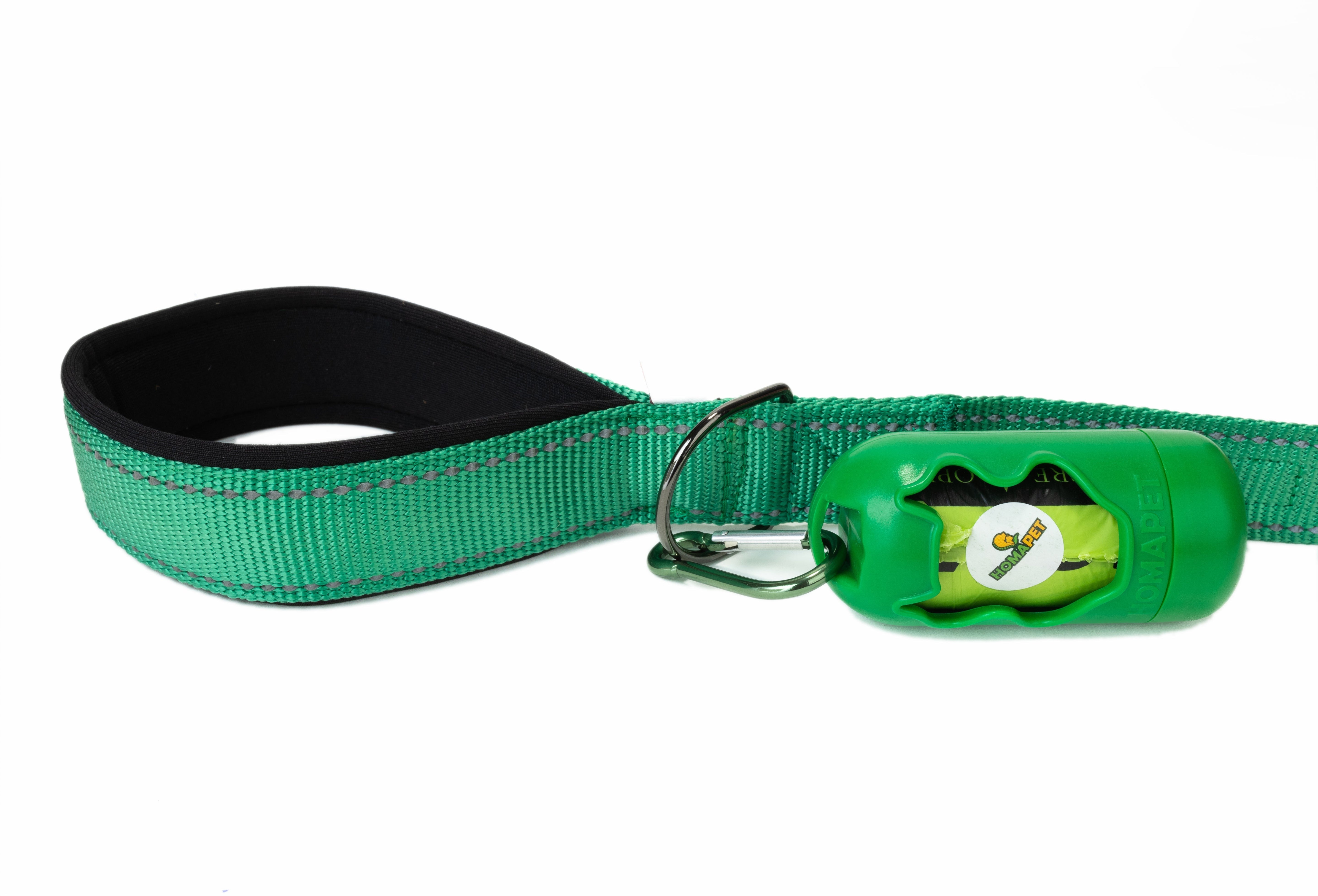 Poly Green Flat Nylon Dog Leash