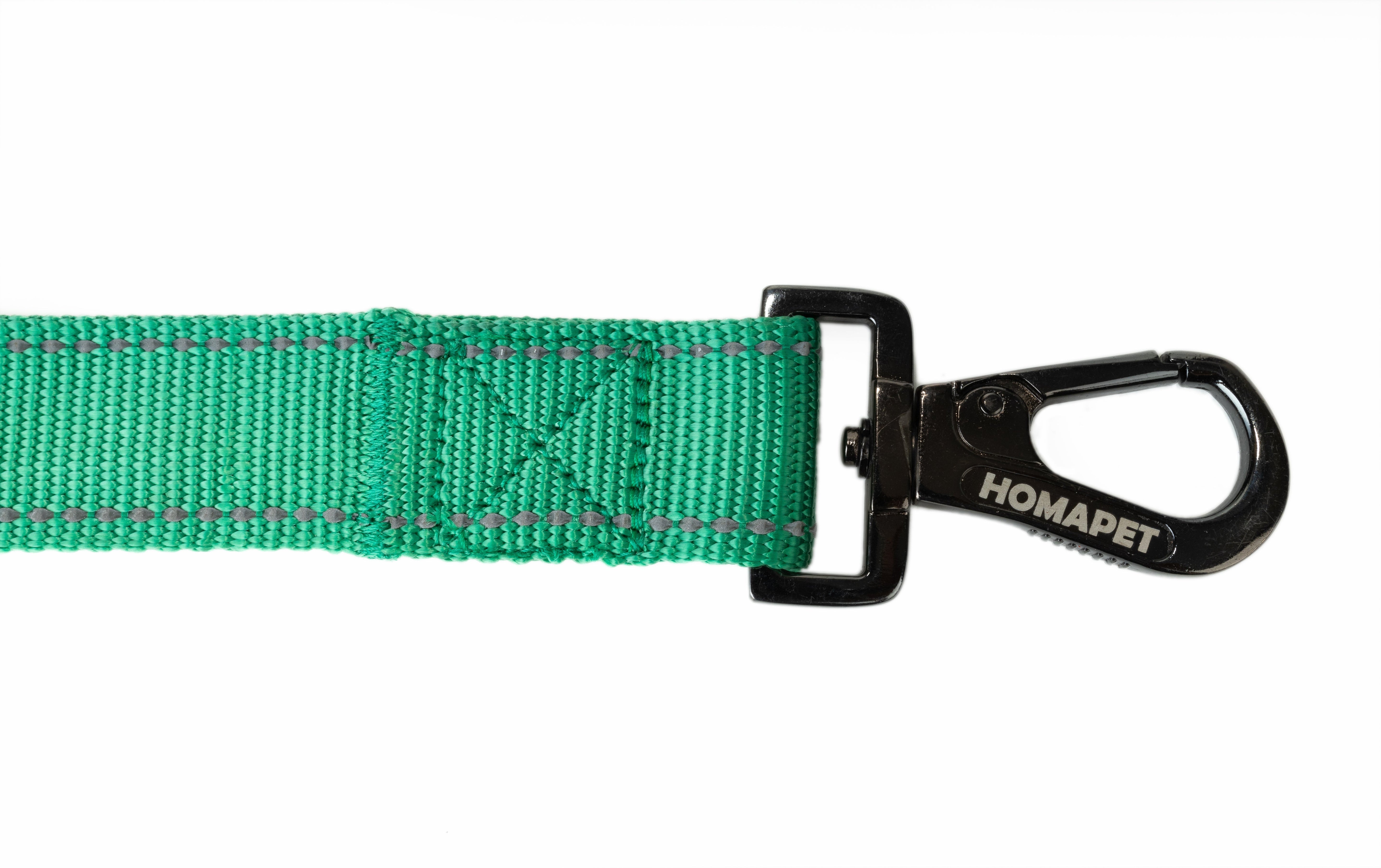 Poly Green Flat Nylon Dog Leash