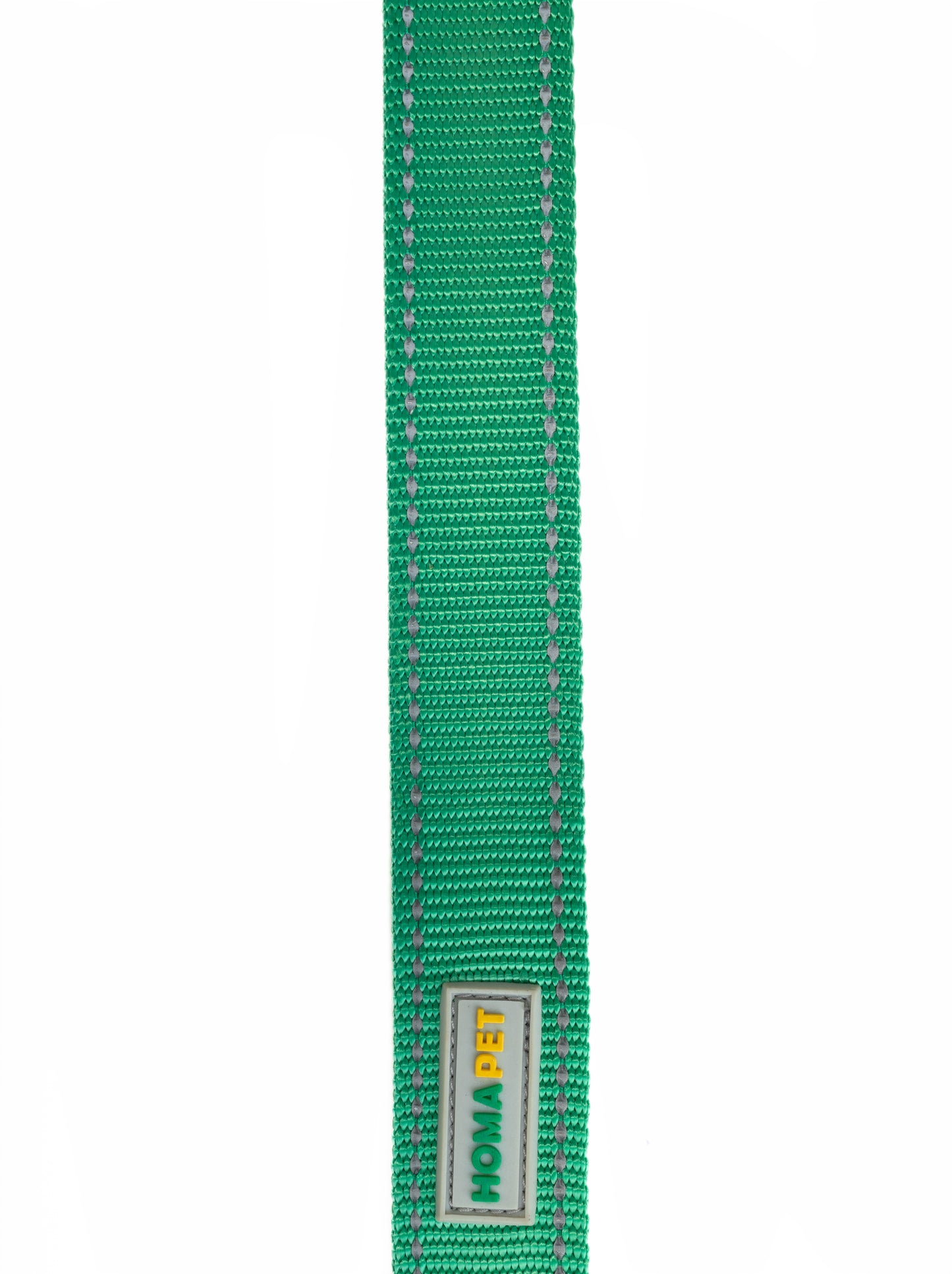 Poly Green Flat Nylon Dog  Leash