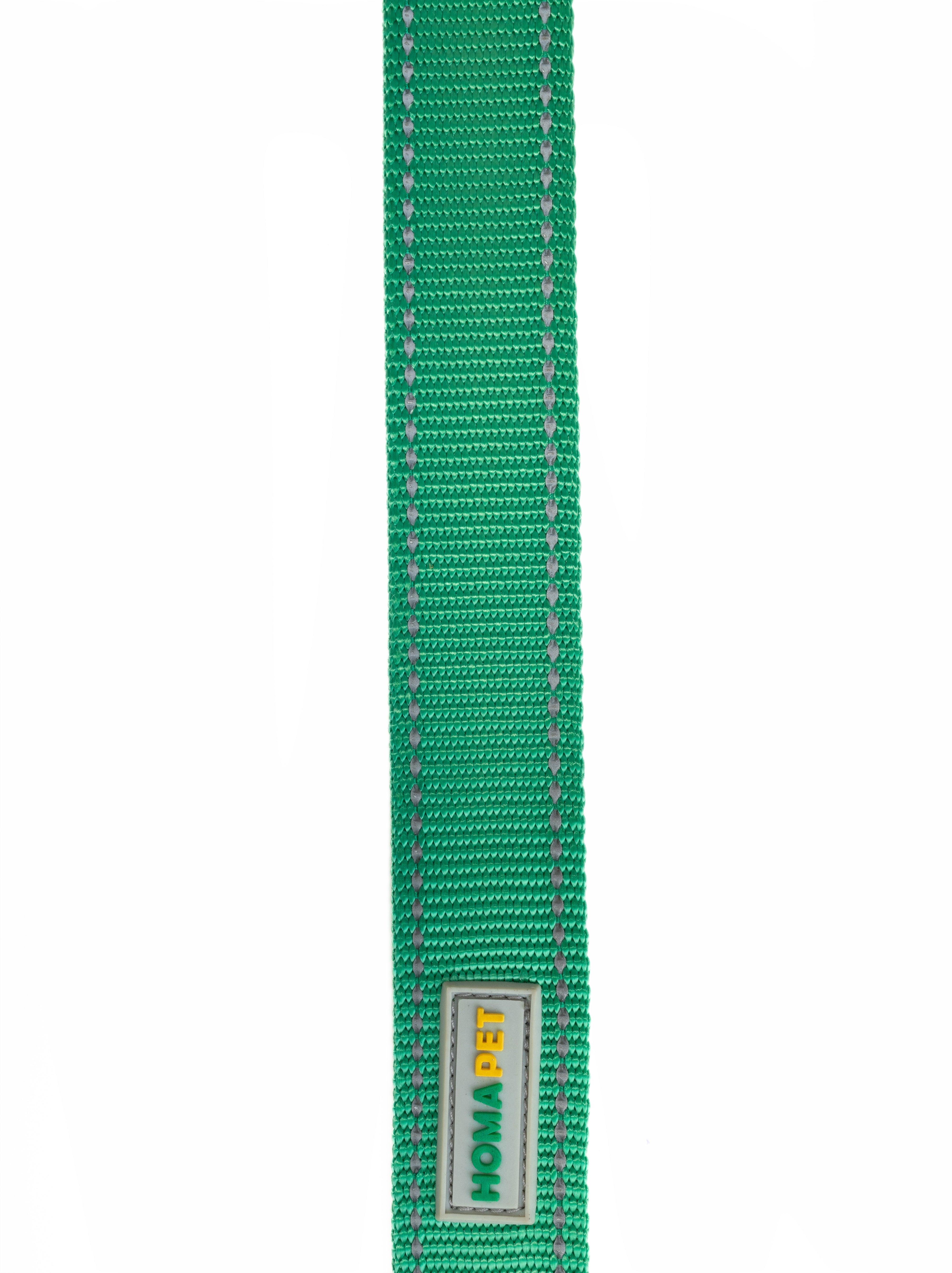 Poly Green Flat Nylon Dog Leash