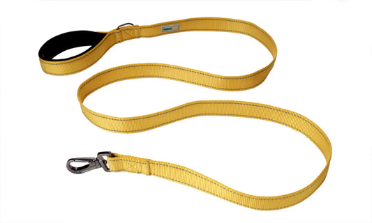 Yellow Flat Nylon Dog Leash