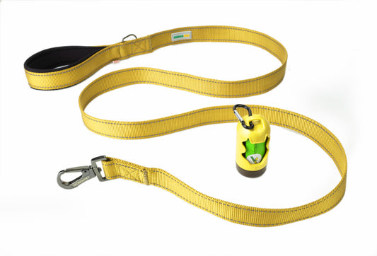 Yellow Flat Nylon Dog Leash