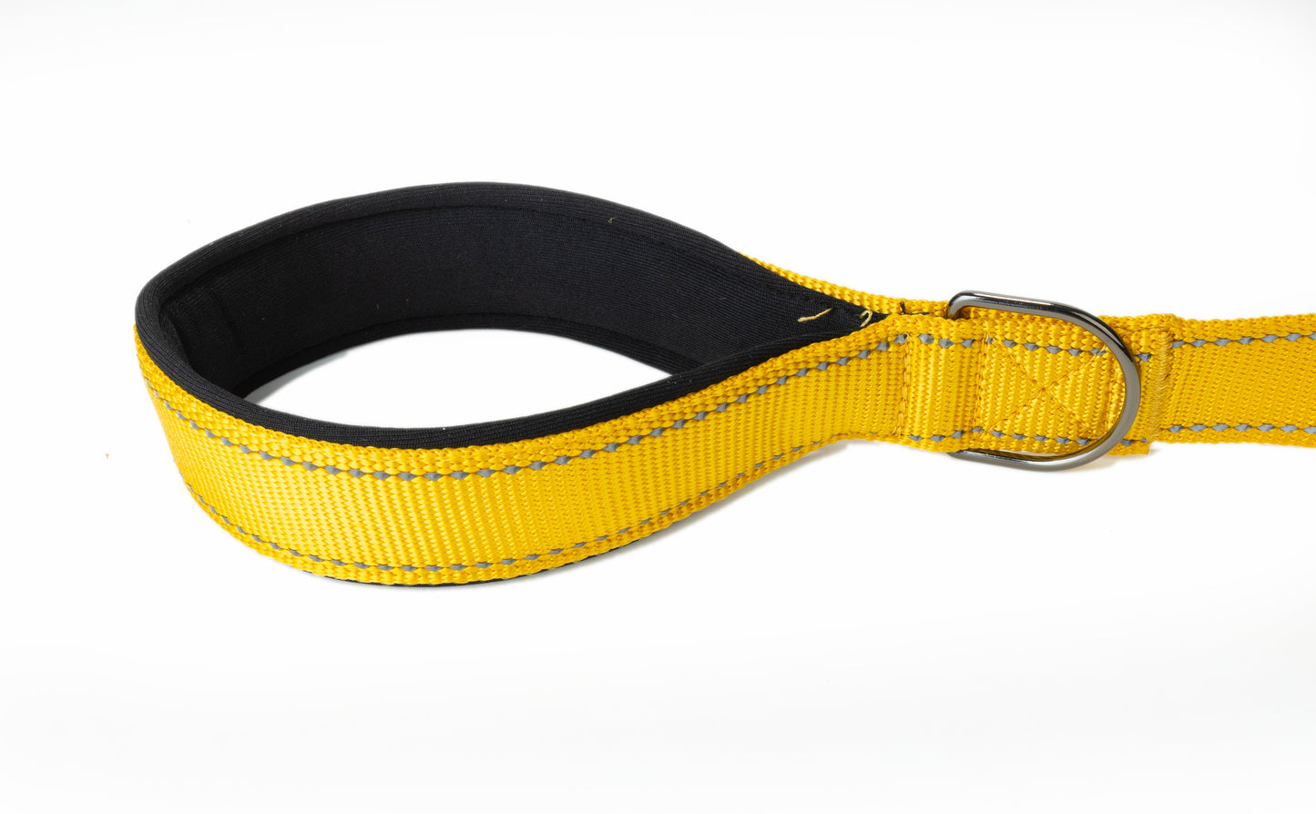 Yellow Flat Nylon Dog Leash