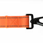 F Orange Flat Nylon Dog Leash