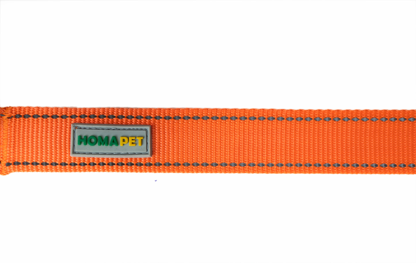 F Orange Flat Nylon Dog Leash