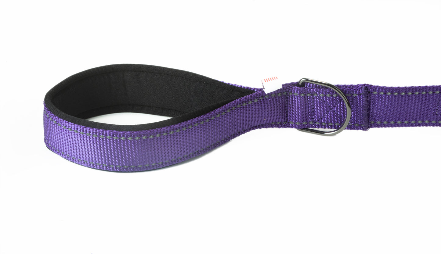 Violet Flat Nylon Dog Leash