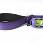 Violet Flat Nylon Dog Leash