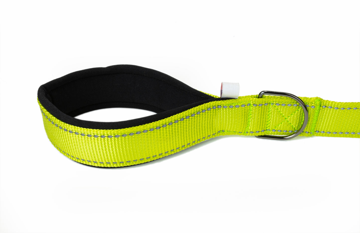 FS Green Flat Nylon Dog Leash