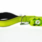 FS Green Flat Nylon Dog Leash