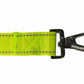 FS Green Flat Nylon Dog Leash