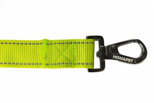 FS Green Flat Nylon Dog Leash