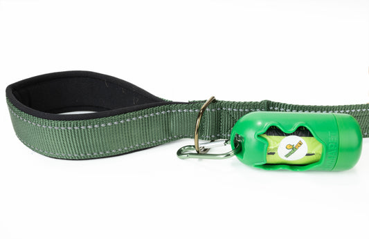 Olive Green Flat Nylon Dog Leash