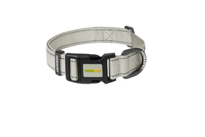 Light Grey Nylon Dog Collar
