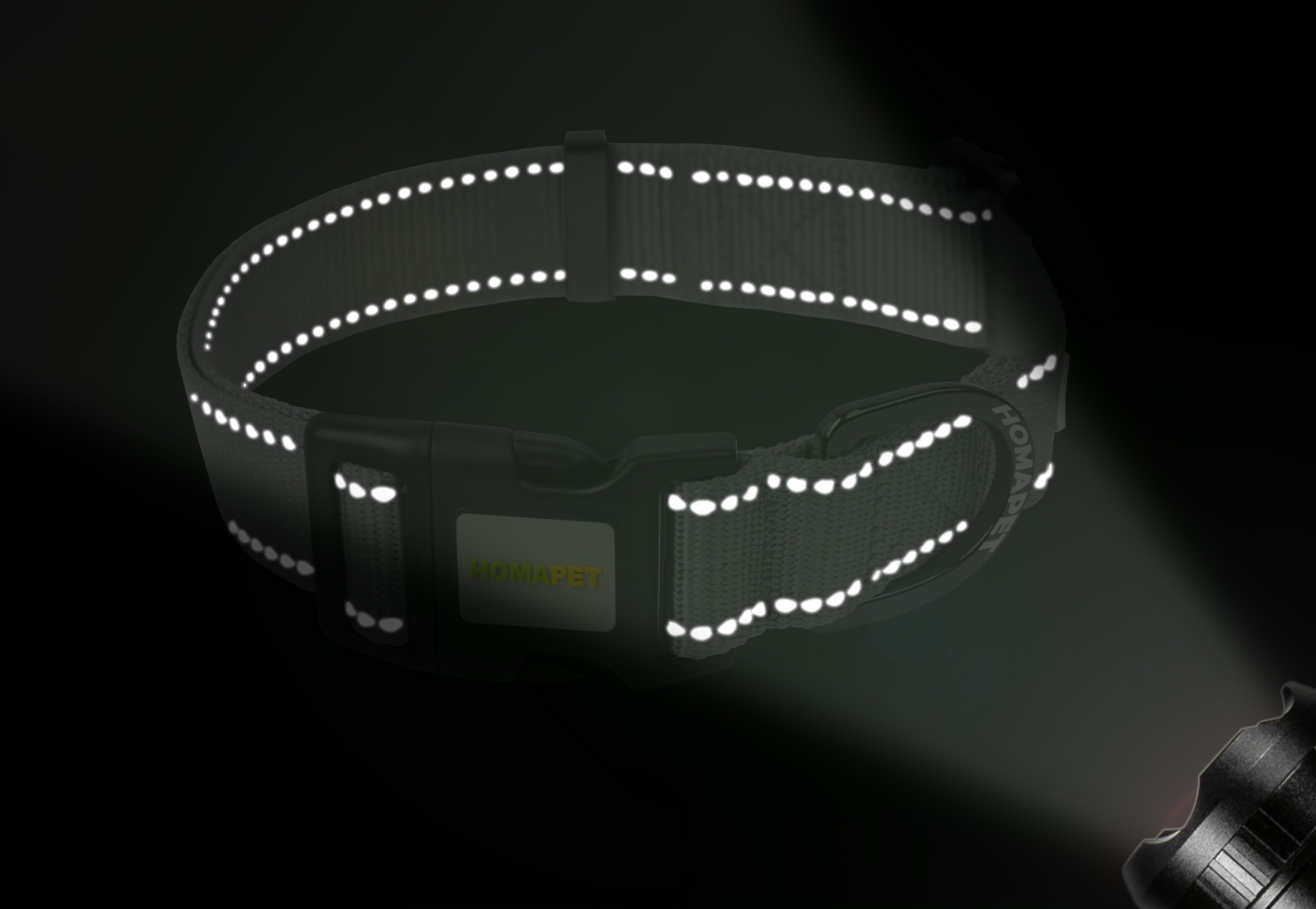 Light Grey Nylon Dog Collar