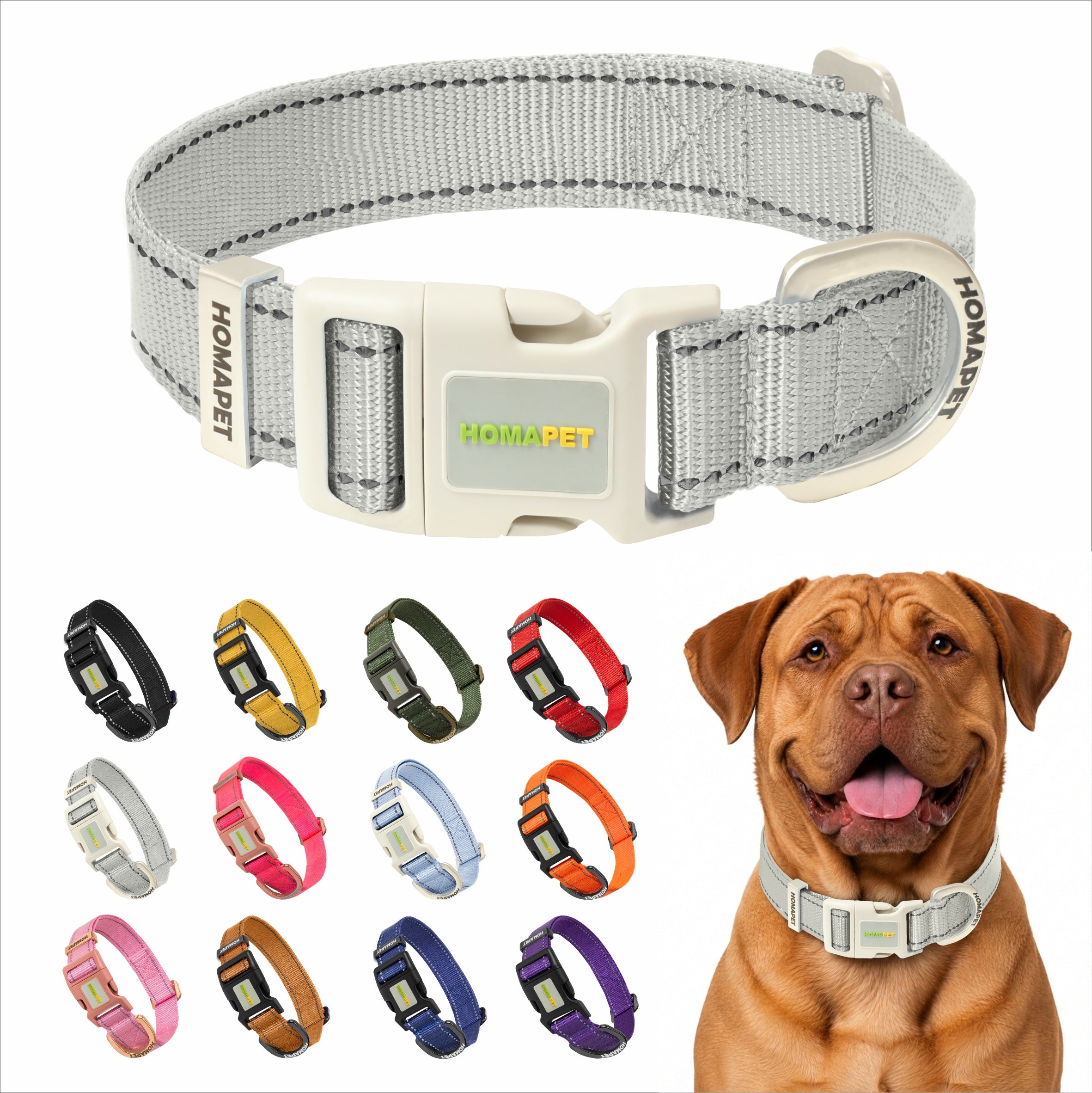 Light Grey Nylon Dog Collar