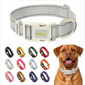 Light Grey Nylon Dog Collar