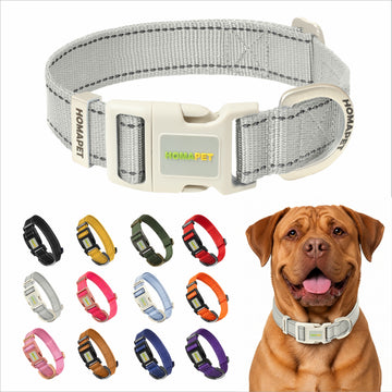 Light Grey Nylon Dog Collar