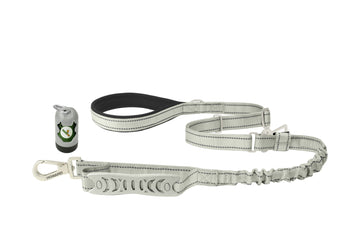 Light Grey Nylon Adjustable Bungee Dog Leash