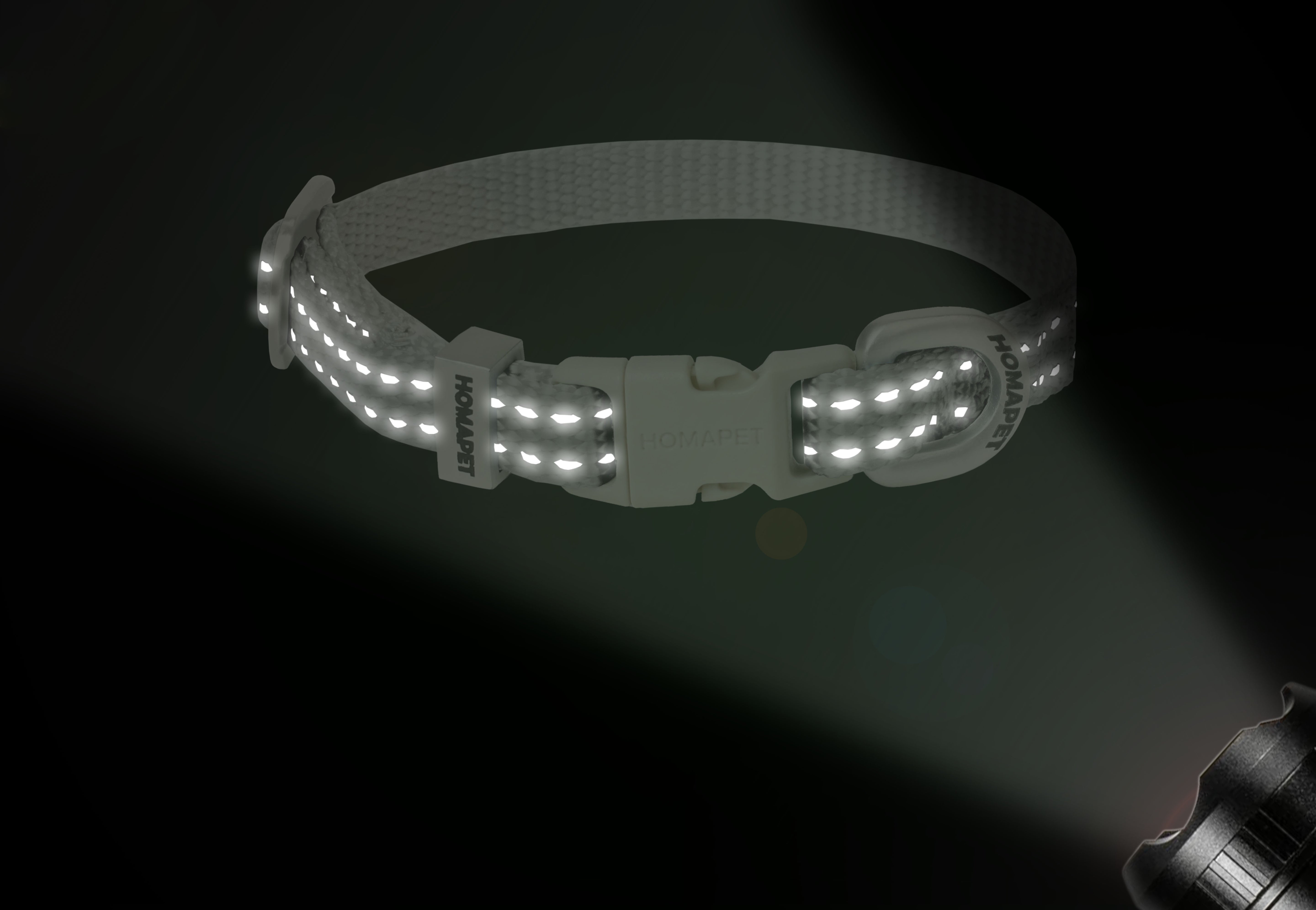 Light Grey Nylon Dog Collar XS