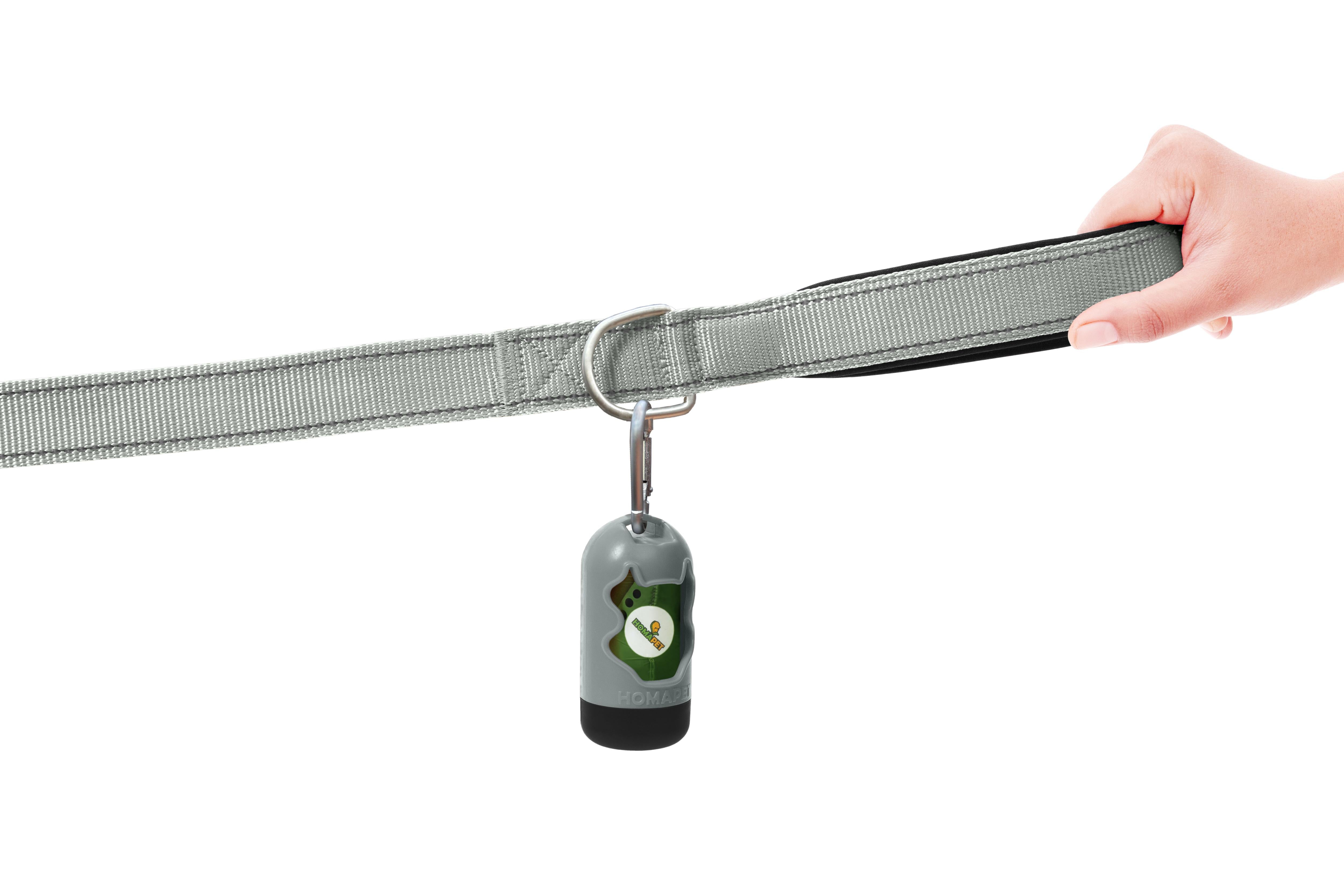 Light Grey Nylon Dog Leash