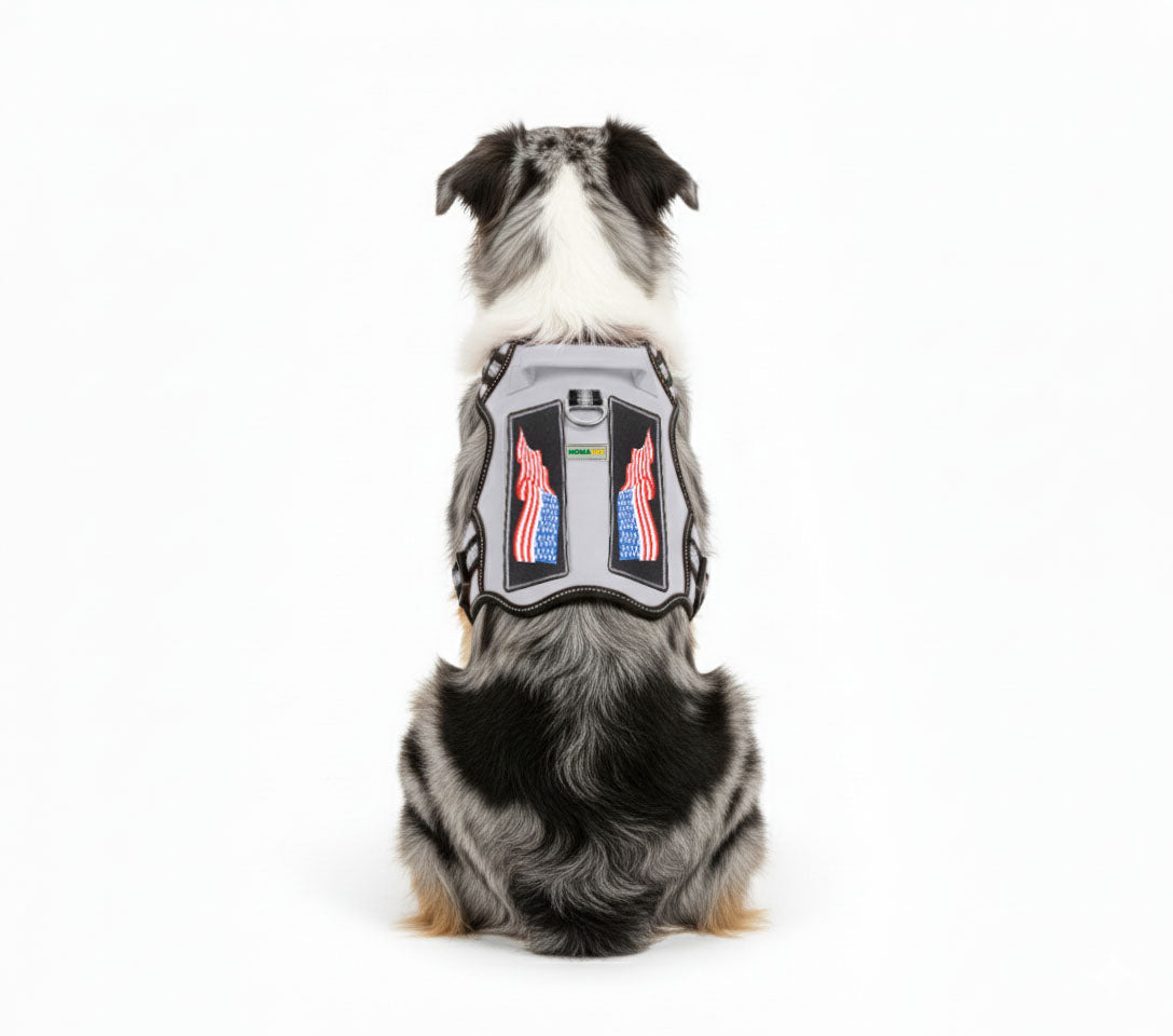 Light Grey Tactical Dog Harness