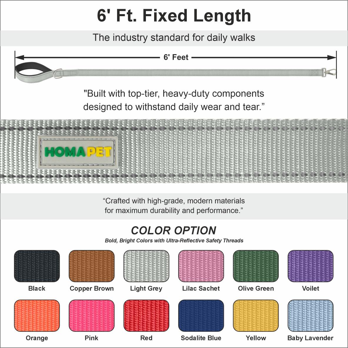 Light Grey Nylon Dog Leash