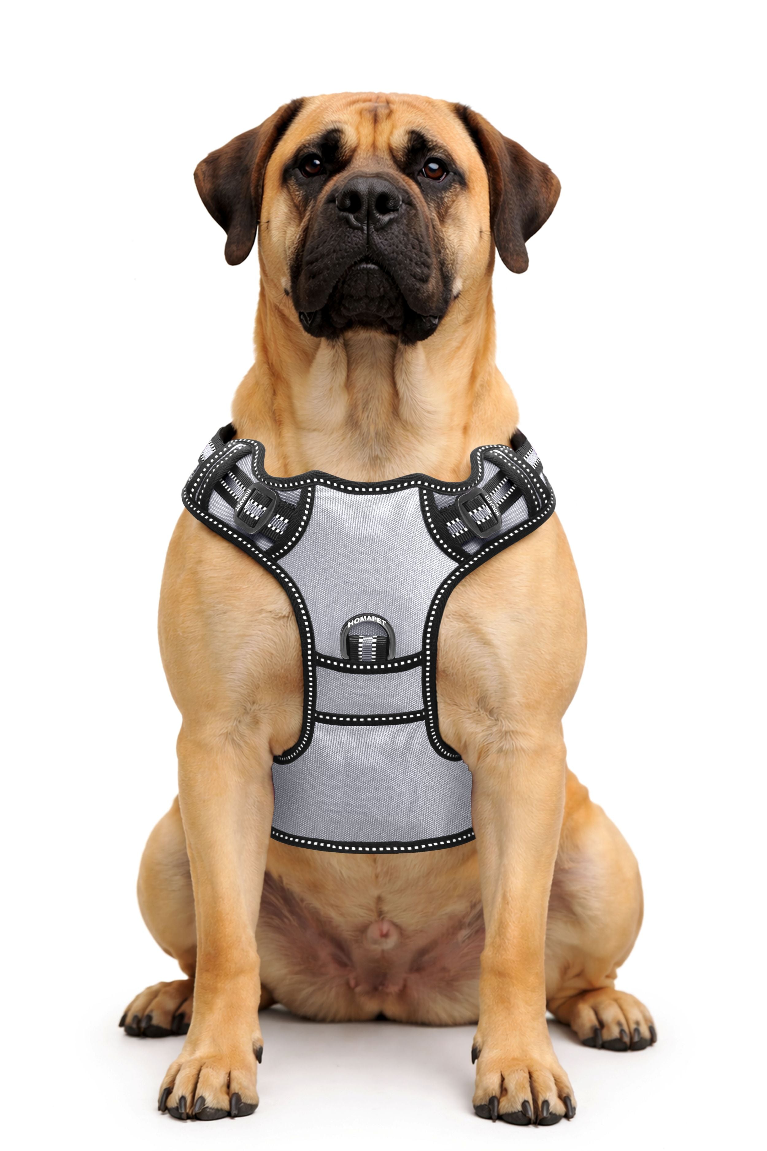 Light Grey Pull Dog Harness