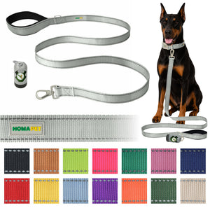 Light Grey Nylon Dog Leash