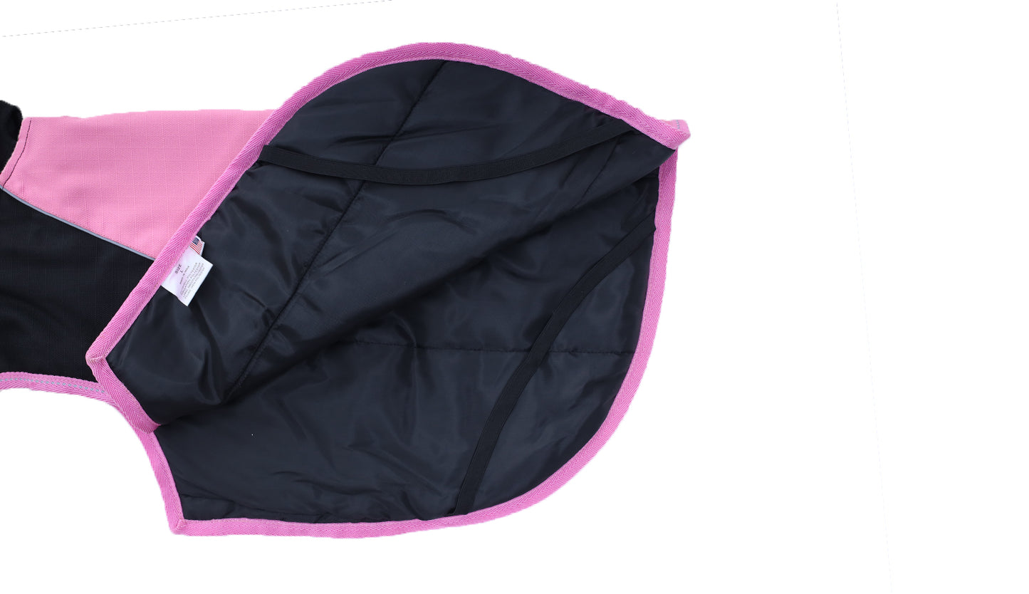 Lilac Sachet  Black Himalaya Dog Coat with 200 GSM Padding - Flat