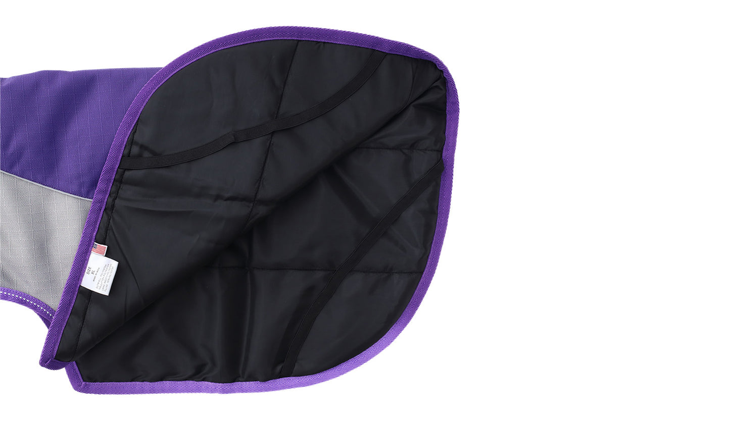 Violet  Dark Grey Himalaya Dog Coat with 200 GSM Padding - Flat