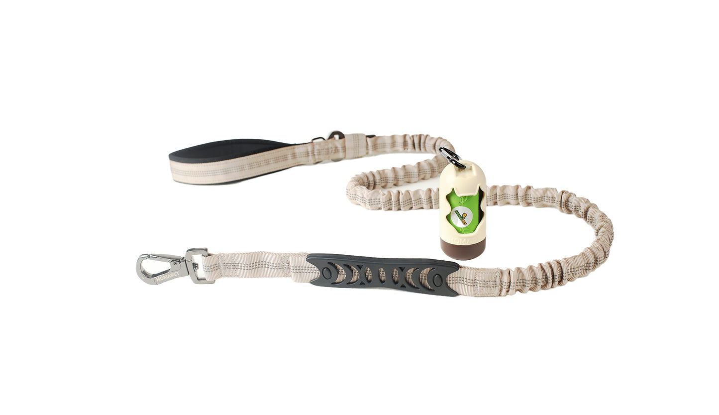 Ivory Nylon Full Bungee Dog Leash