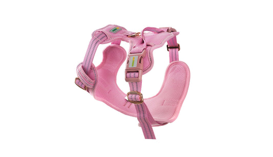 Lilac Sachet No Pull Dog Harness