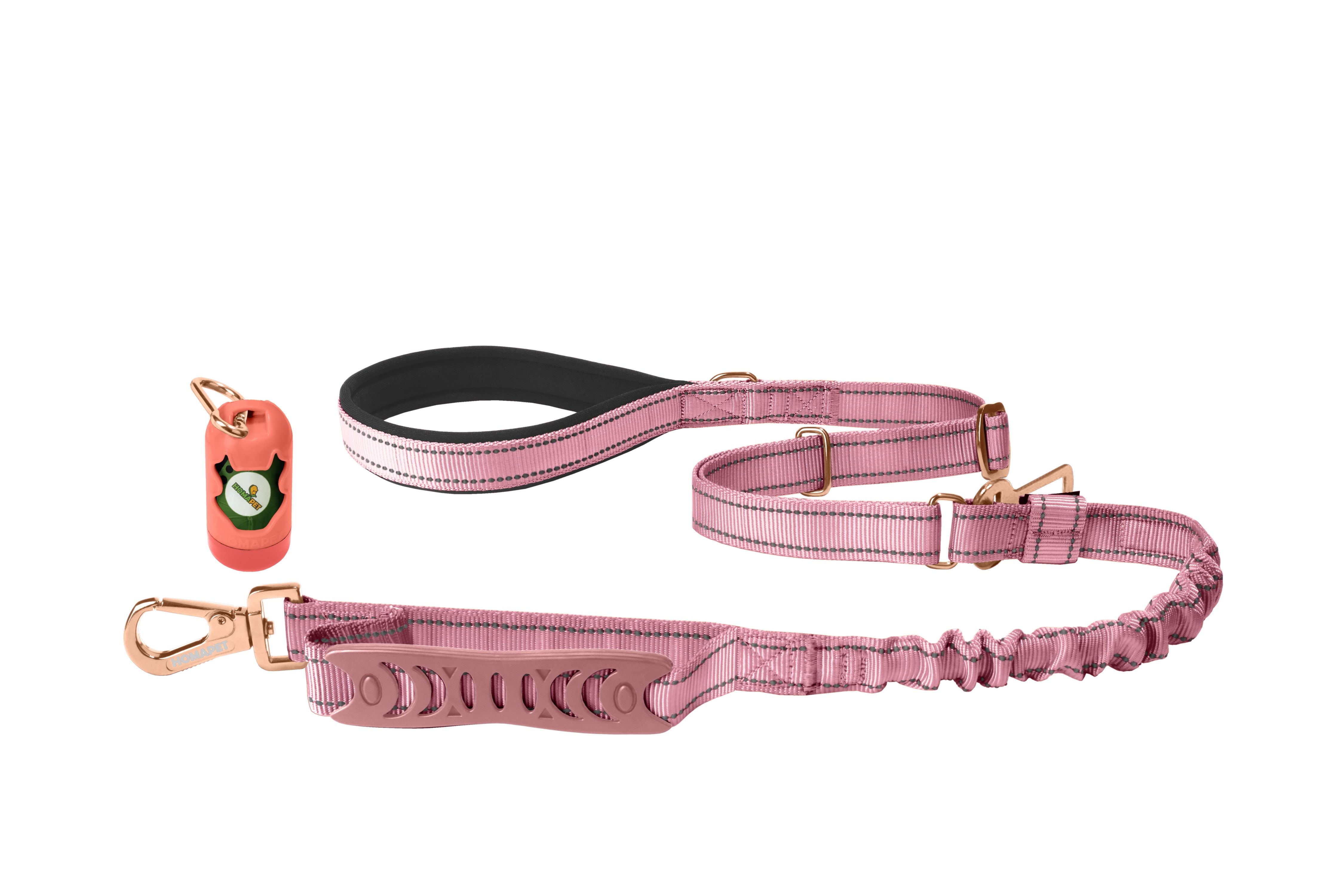 Lilac Sachet Nylon Adjustable Bungee Dog Leash