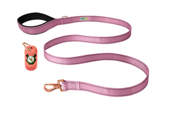 Lilac Sachet Nylon Dog Leash