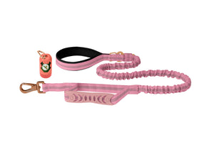 Lilac Sachet Nylon Full Bungee Dog Leash