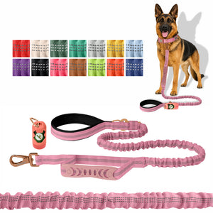 Lilac Sachet Nylon Full Bungee Dog Leash