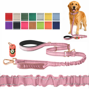Lilac Sachet Nylon Adjustable Bungee Dog Leash