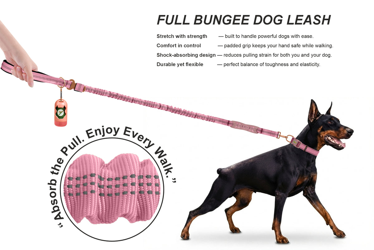Lilac Sachet Nylon Full Bungee Dog Leash