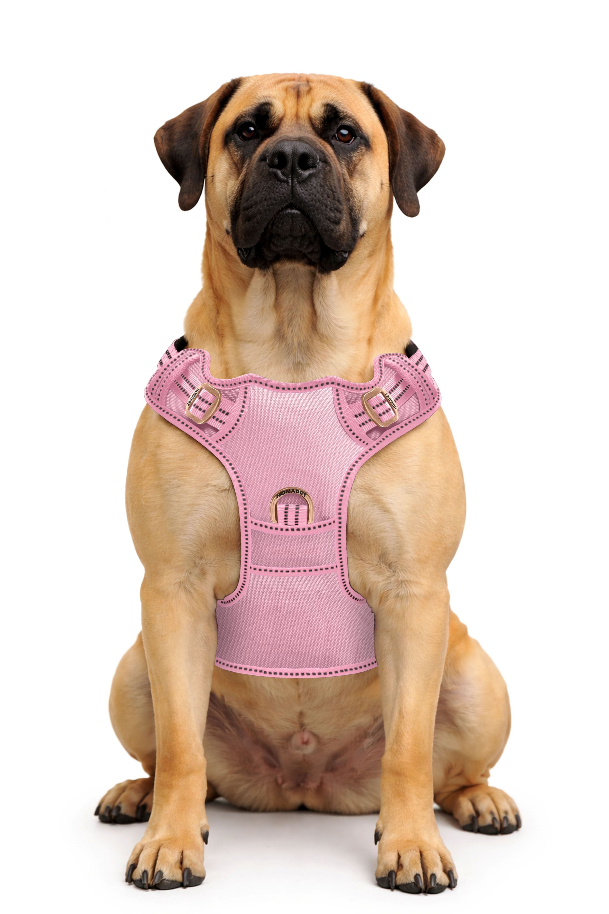 Lilac Sachet No Pull Dog Harness