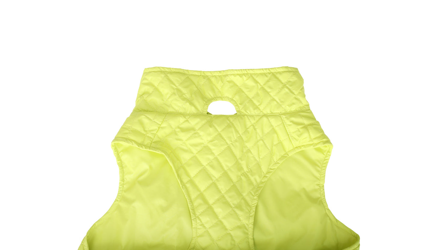 Lime Green Dog Quilted Jacket - Flat