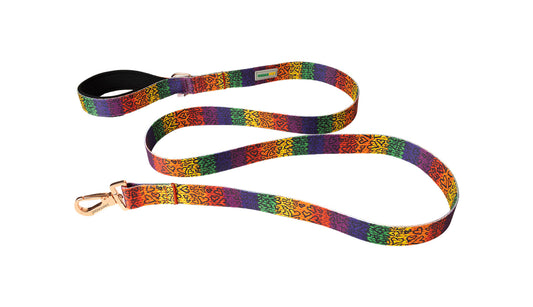 Love Printed Polyester Dog Leash