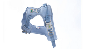Baby Lavender No Pull Dog Harness