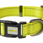 F S Green Nylon Dog Collar