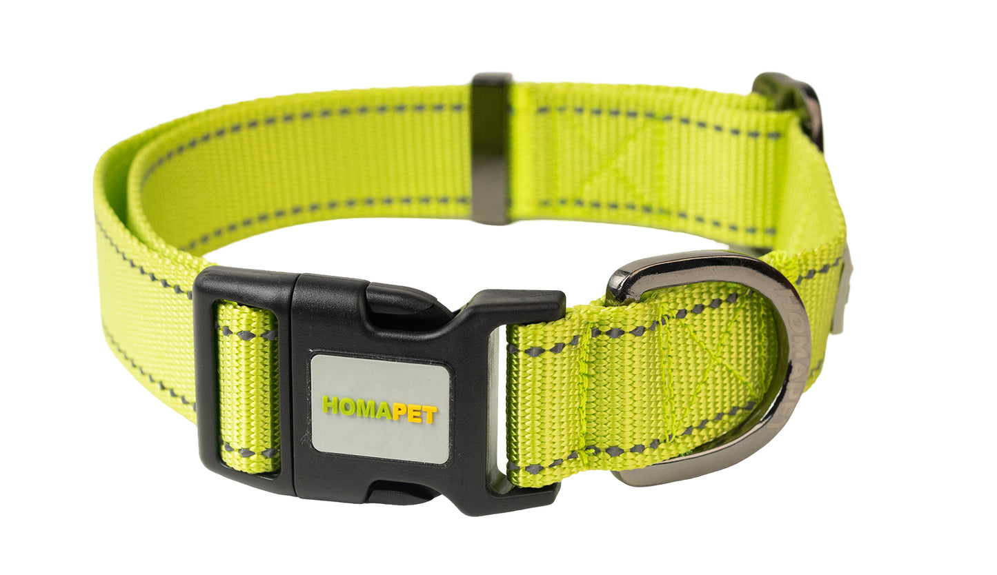 F S Green Nylon Dog Collar